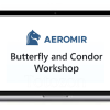 Butterfly and Condor Workshop with Aeromir image