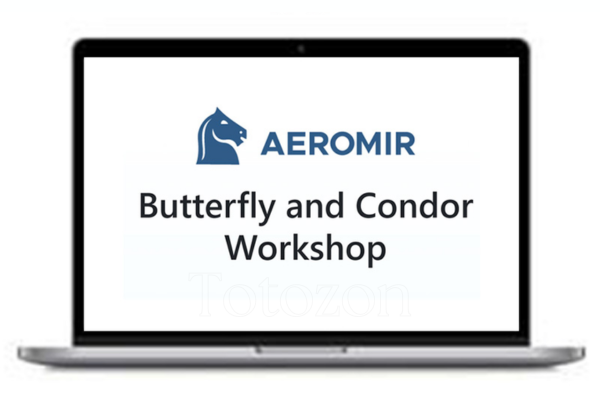 Butterfly and Condor Workshop with Aeromir image