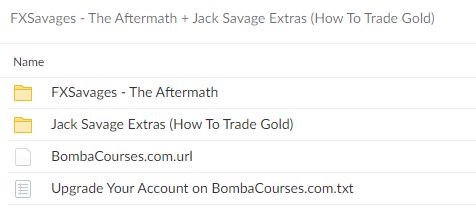 419571qINMgy3 The Aftermath Jack Savage Extras How To Trade Gold By FXSavages