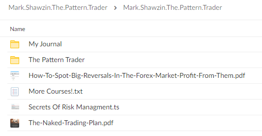 42036jQDFuVuH The Pattern Trader By Mark Shawzin