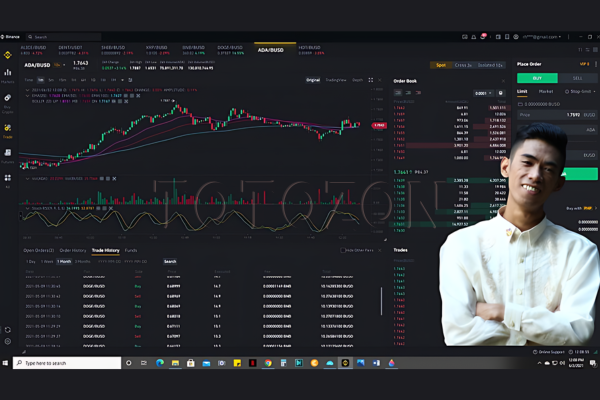 Binance Trading Bots Passive Income By Rhodnnie Jessnor Austria image