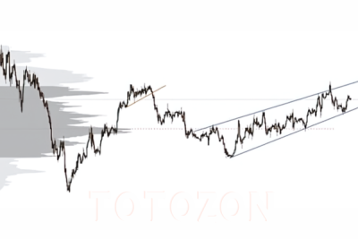 Complete Price Action, Volume Profile and Orderflow Trading Bundle By Price Action Volume Trader image