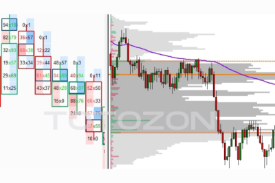 Day Trading with Volume Profile and Orderflow – Price Action Volume Trader image