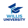 Forex Mastery By Willis University image