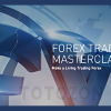 Forex Trading MasterClass By Torero Traders School image