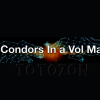 Iron Condors in a Volatile Market 2022 By Dan Sheridan - Sheridan Options Mentoring image