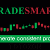 NQ Price Action Mastery By Trade Smart image