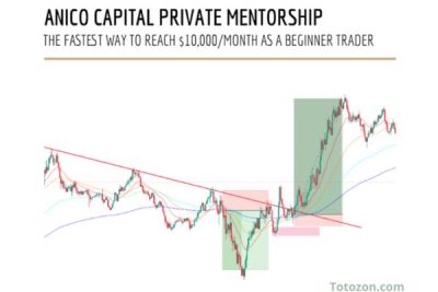 Private Mentorship By ANICO Capital image 600x400