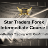 Star Traders Forex Intermediate Course I By Karen Foo image