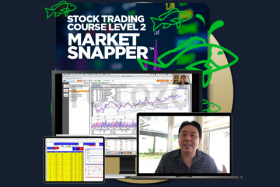 Stock Trading Course Level 2 Market Snapper™ 2019 By Piranha Profits image