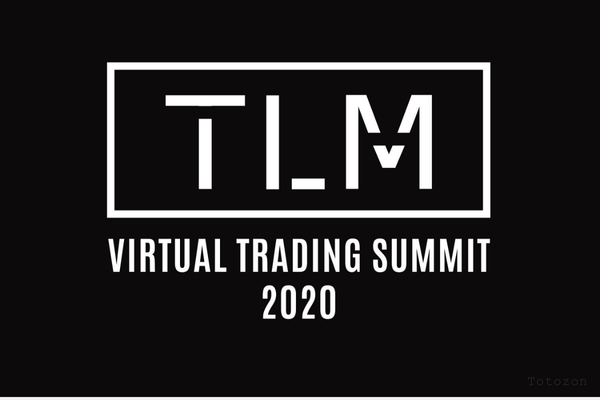 TLM Virtual Trading Summit 2021 with TradeLikeMike image