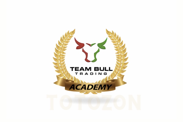 Team Bull Trading Academy image 2