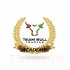 Team Bull Trading Academy image