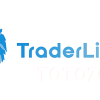 The 2021 TraderLion Stock Trading Conference By Trader Lion image