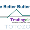 The Better Butterfly Course By David Vallieres – Tradingology image