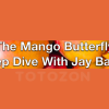 The Mango Butterfly Deep Dive 2023 By Jay Bailey - Sheridan Options Mentoring image