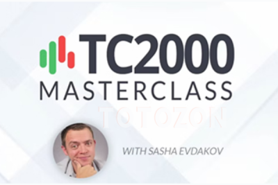 The TC2000 Masterclass Course By Sasha Evdakov - Rise2learn image