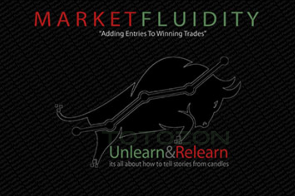 Unlearn and Relearn By Market Fluidity image