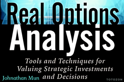 A business analyst reviewing investment data using real options analysis