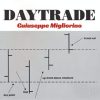 A dynamic trading setup showcasing real-time market charts and analyses, typical in Giuseppe Migliorino's day trading operations.