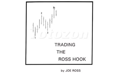 A trader analyzing a chart with a Ross Hook pattern, representing Joe Ross's trading strategy.