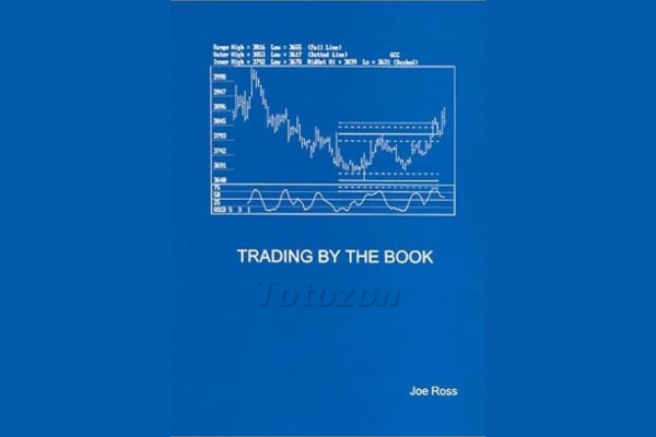 A trader analyzing charts and data, representing Joe Ross's structured trading approach.