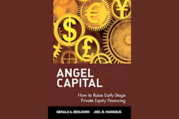 Angel Capital How to Raise Early-Stage Private Equity Financing with Gerald A. Benjamin, Joel B. Margulis img