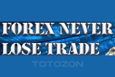 Forex Never Lose Trade & Forex Unknown Secret by Karl Dittmann image