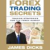 Forex Trading Secrets. Trading Strategies for the Forex Market image