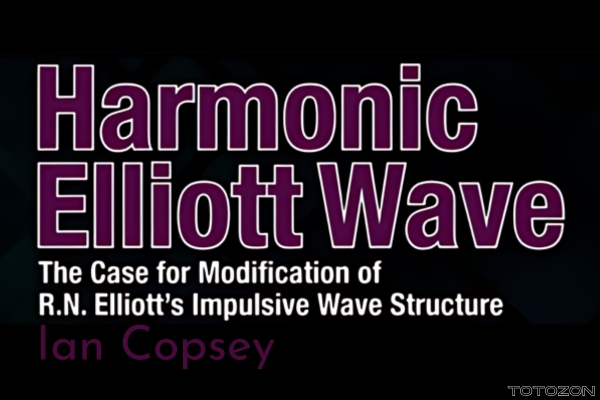 Ian Copsey analyzing complex wave patterns on a digital screen.