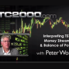 Interpreting Money Stream By Peter Worden image