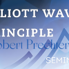 Introduction to the Elliot Wave Principle Seminar - Robert Prechter image