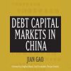 Jian Gao discussing debt capital markets in China at a financial conference.