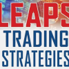 LEAPS Trading Strategies- Powerful Techniques for Options Trading Success – Marty Kearney image