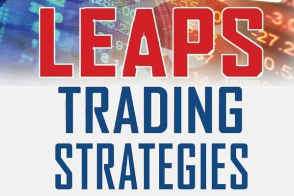 LEAPS Trading Strategies- Powerful Techniques for Options Trading Success – Marty Kearney image