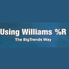 Price Headley - Using Williams %R The BigTrends Way iamge