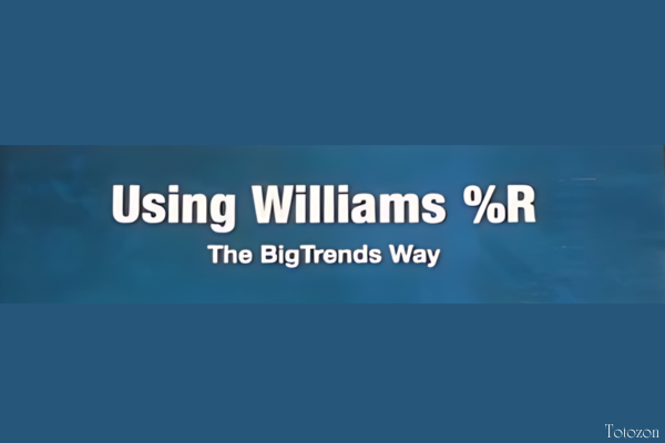 Price Headley - Using Williams %R The BigTrends Way iamge