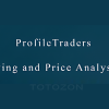 ProfileTraders - Swing and Price Analysis (May 2014) image