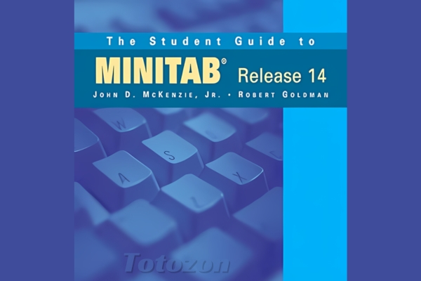 Students analyzing data using Minitab Release 14 software