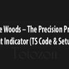 The Precision Profit Float Indicator (TS Code & Setups) by Steve Woods image