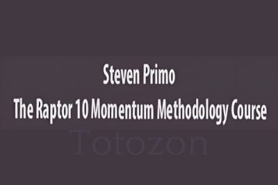 The Raptor 10 Momentum Methodology Course image