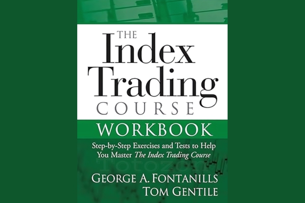 Trader analyzing index charts and strategies.