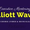 Traders analyzing charts with Elliot Wave Theory patterns during an executive mentoring session.