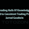 Trading Halls Of Knowledge - Road to Consistent Trading Profits By Jarrod Goodwin image