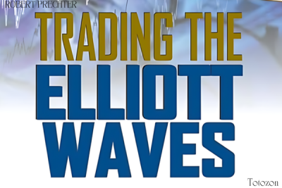 Trading The Elliott Wave Indicator (2003) [1 MP4] by Robert Prechter image