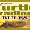 Turtle Trading Concepts with Russell Sands image