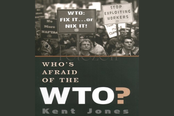 Who is Afraid of Word Trade Organization by Kent Jones image