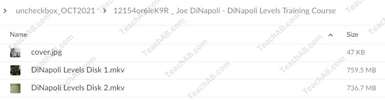 12154or6ieK9R DiNapoli Levels Training Course By Joe DiNapoli Merrick Okamoto