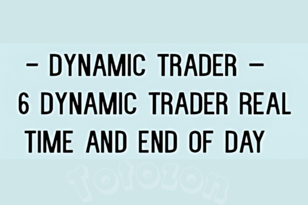 6 Dynamic Trader Real Time and End Of Day image