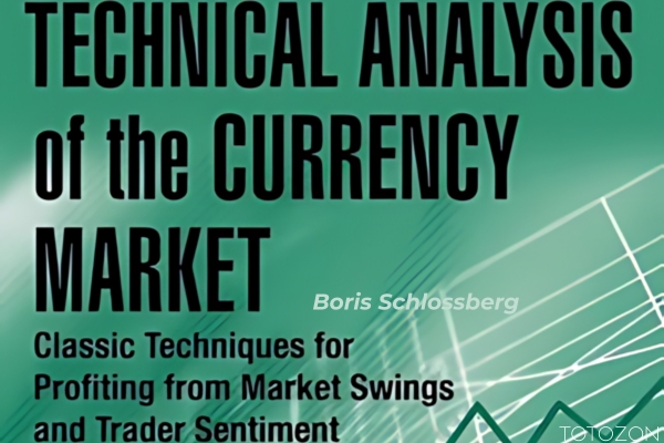 A detailed chart displaying various forex market trends analyzed through Boris Schlossberg's technical analysis techniques.